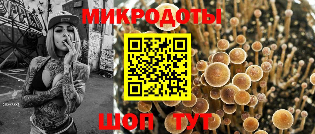 Уфа  Галлюциногенные грибы Cubensis  Вход с VPN 